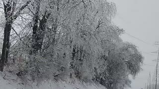 Ice Storm February 2022