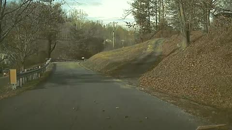 Tree Falls Right in Front of Car