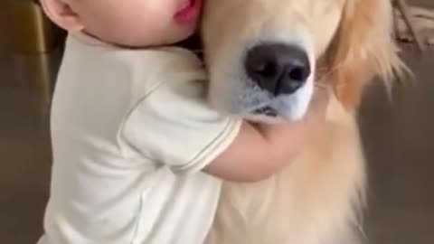Adorable babies and dog video .Dogs and kids are truly best friends for life.
