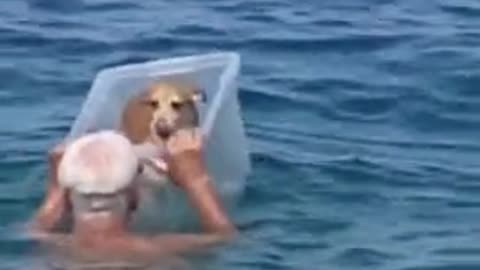 Guy finds clever way to bring his dog into the ocean