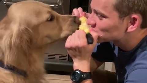 Man Shares Corn On The Cob With His Dog