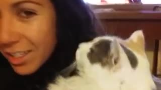 Girl tries to give white cat a kiss cat bites her lip