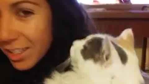 Girl tries to give white cat a kiss cat bites her lip