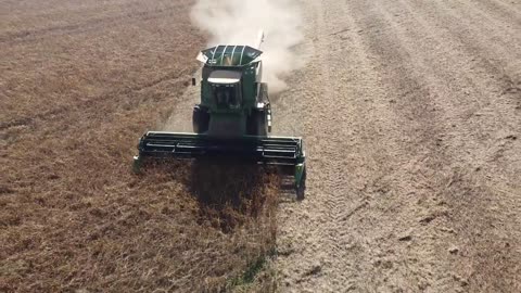 Soybean Harvest Frisco City Al