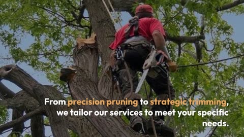 Transform Your Landscape with Expert Tree Service in Alpharetta