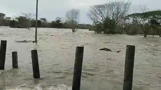 Inundaciones en Cara de Gato