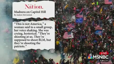 BLM Activists INSIST Police "Actively" Allowed, "Designed" Violence at the Capitol