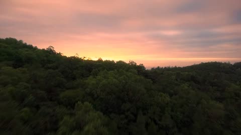 Îles Océan Lever Du Soleil Paysage Bois