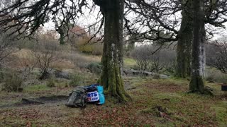 By a river in Dartmoor