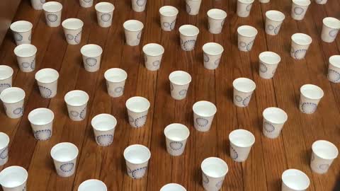 Hundreds of Cups on April Fools