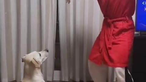 CURIQUITACA CHALLENGE WITH DOG FUNNY DOG VIDEO🐶 😂 FUNNY ANIMAL VIDEO #shorts