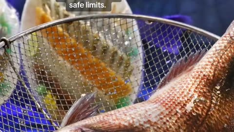 Fish With 180 Times the Legal Radioactive Limit Was Caught in Japan