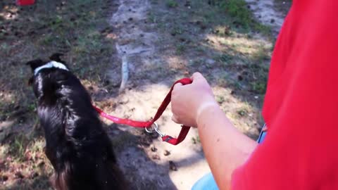 Young woman walking with her dog on a leash