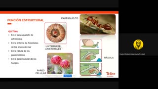 TRILCE SEMESTRAL 2021 | SEMANA 02 | BIOLOGÍA: BIOQUÍMICA II