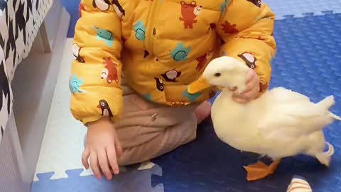 Boy with Duck | Funny