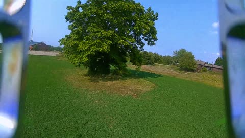 Hawk Swoops in on FPV Drone