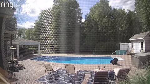 Bear Wakes Up Guy Taking a Nap By The Pool Captured Via Ring Security Camera