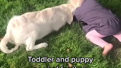 Toddler and puppy go viral for their adorable friendship