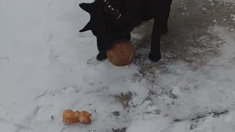 Let's play a ball!