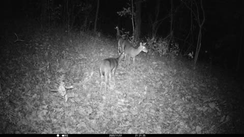 Big Momma Doe and family