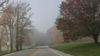 More fall leaves and fog