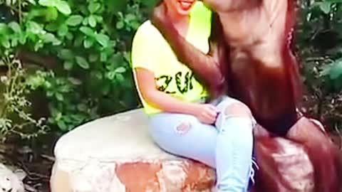 Monkey kiss to beautiful girl funny video