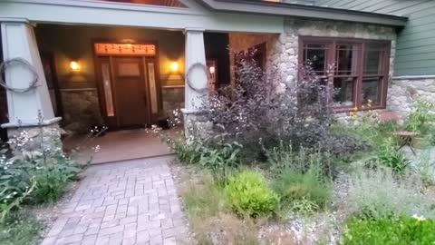 Front garden tour, native perennials, zone 5b