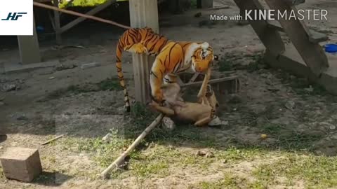 Fake tiger attacks dog prank video (Part-2)