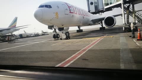 A Beautiful Bird of Ethiopian Boing 777