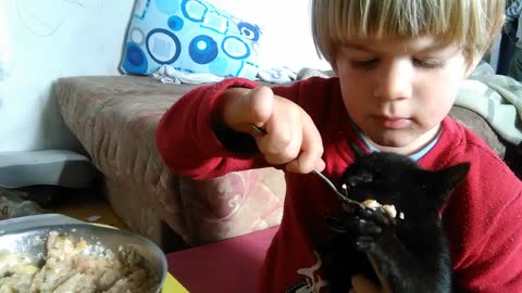 Toddler And Kitty Show That Sharing Is Caring