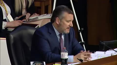 Sen Ted Cruz Grills Ketanji Brown Jackson On 1619 Project,CRT, Sentencing Record