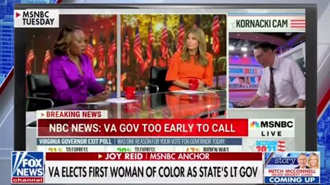 Newly Elected Virginia Lt. Governor Winsome Sears CALLS OUT Racist Joy Reid
