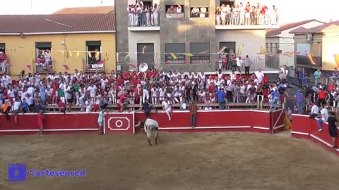 Moment Bull Leaps Over Fence Twice Into Bullring Stands