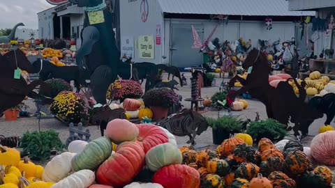 Halloween display at Pecks farm