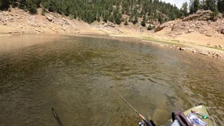 Feeding Eagles at Gross Reservoir