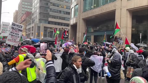 palestine full assault protest