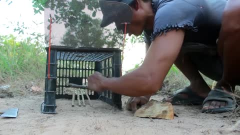 How to Installing wild cat trap using plastic basket