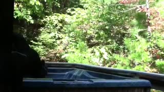 Wild Black Bear Soaks In Porch Hot Tub