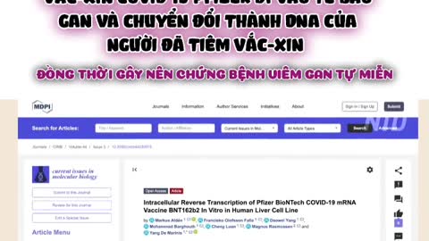 VẮC-XIN PFIZER ĐI VÀO TẾ BÀO GAN