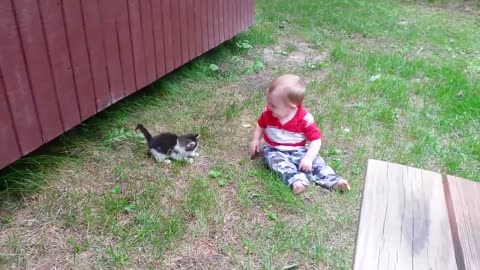Funny Cats moments - Baby vs Cats Fun