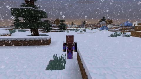 Minecraft 1.17.1_ Modded_Shorts_Outting_74