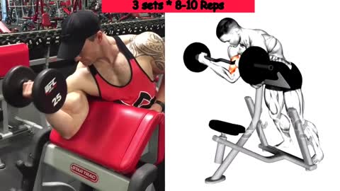 Biceps Workout For Begginers