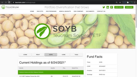 SOYB ETF Introduction (Soybean)