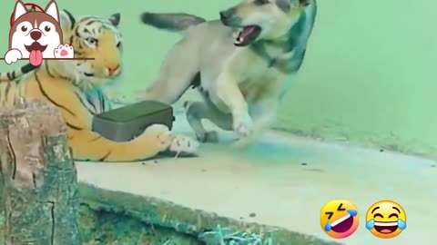 Sleeping Dog Tiger Prank | Fake Tiger Prank Dog