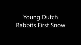 Young Rabbits First Snow
