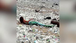 'Mermaid' lounges in trash on Bali's beach