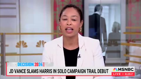 MSNBC Guest Melts Down, Accuses Republicans Of RACISM Against Kamala Harris
