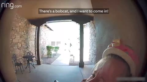 Taylor runs to her neighbor to get away from the Bobcat but only talks to the Ring Video Camera