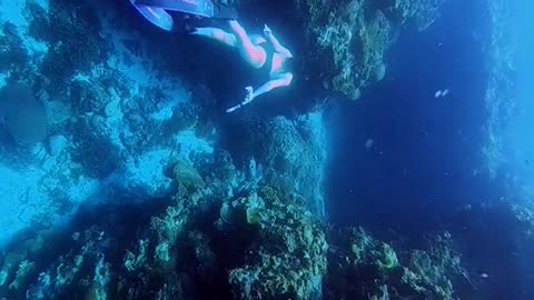 Deep sea is dangerous, diving needs courage!