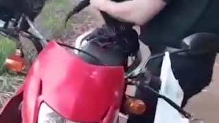 bikers saved spidermonkey